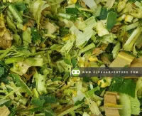 Contract-based Corn Silage Supply Program by Alpha Agventure Farms