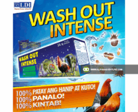 Washout Shampoo for Sale at Alpha Agventure Farms