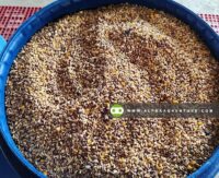 Murang Feeds for Poultry and Ruminants at Alpha Agventure Farms