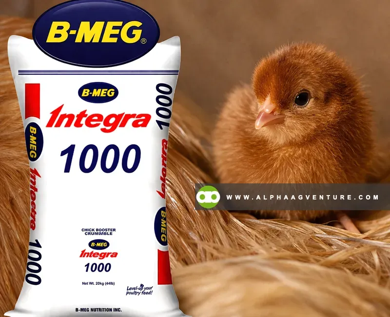 Buy BMEG Integra 1000 for Sale at Alpha Agventure Farms