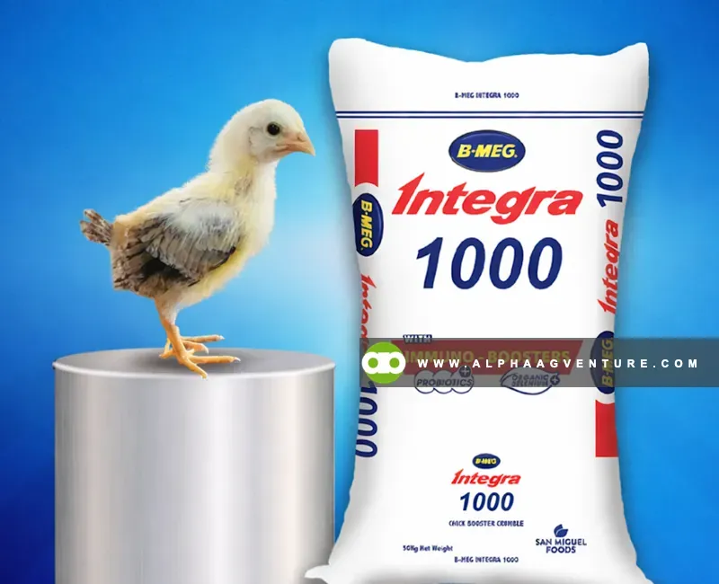 Buy BMEG Integra 1000 for Sale at Alpha Agventure Farms