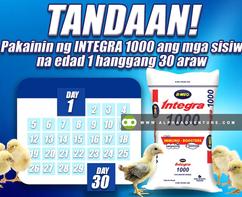 Buy BMEG Integra 1000 for Sale at Alpha Agventure Farms