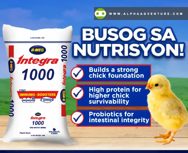 Buy BMEG Integra 1000 for Sale at Alpha Agventure Farms