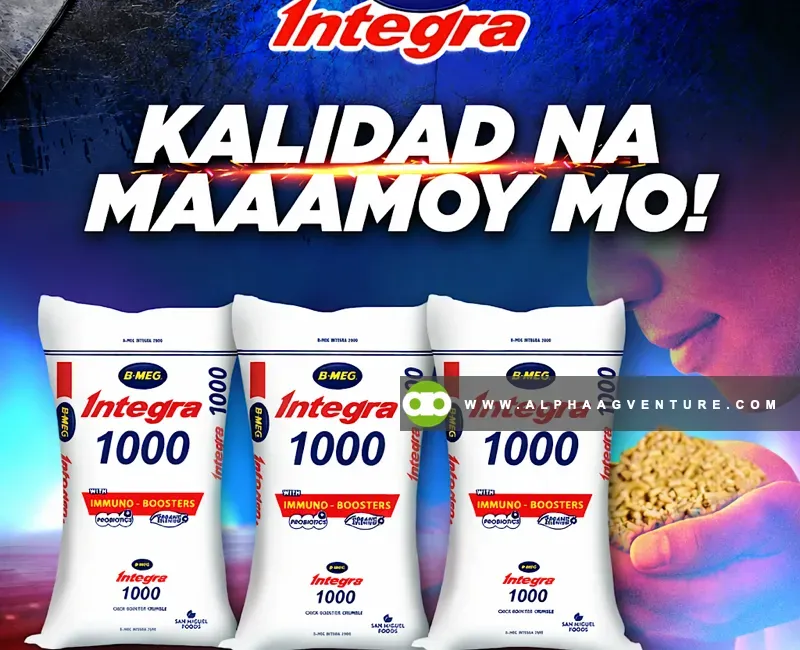 Buy BMEG Integra 1000 for Sale at Alpha Agventure Farms