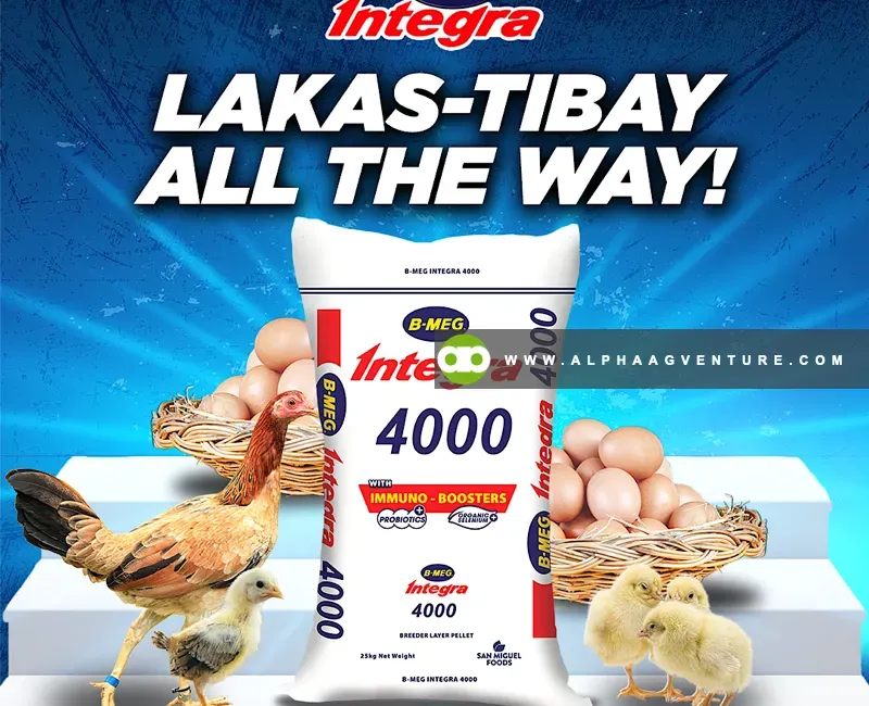 Buy BMEG Integra 4000 for Sale at Alpha Agventure Farms