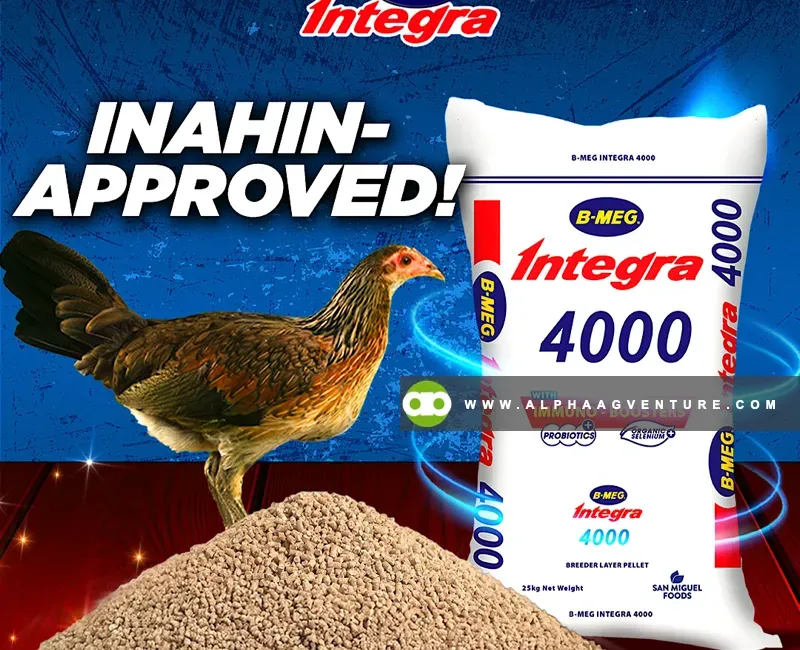 Buy BMEG Integra 4000 for Sale at Alpha Agventure Farms