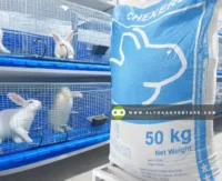 Buy Chexers Rabbit Pellets for Sale at Alpha Agventure Farms