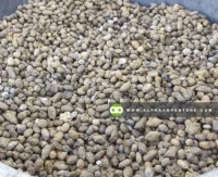 Buy Goat Manure for Sale at Alpha Agventure Farms