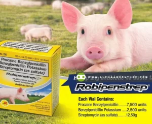 Robistrep Buy Robipenstrep for Sale