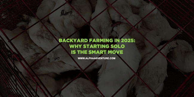 Backyard Farming in 2025: Why Starting Solo Is the Smart Move