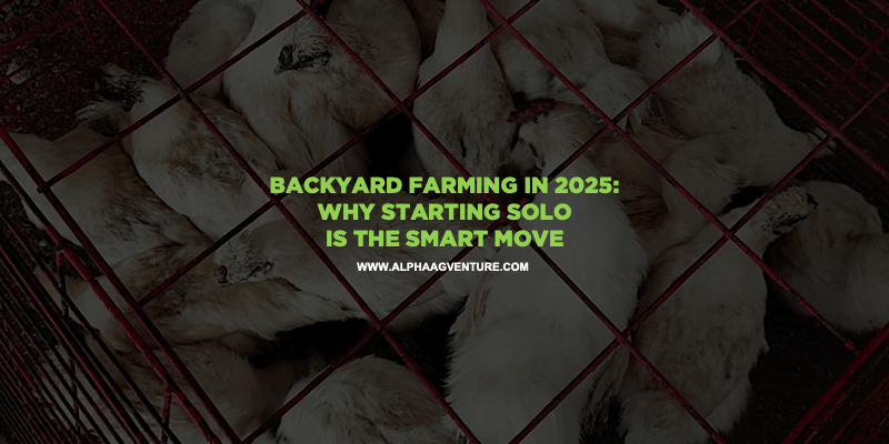 Backyard Farming in 2025: Why Starting Solo Is the Smart Move