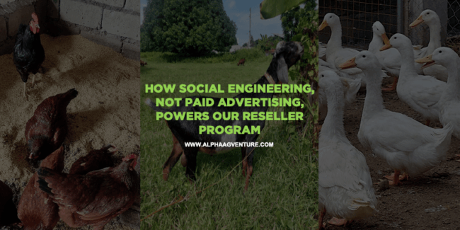 How Social Engineering, Not Paid Advertising, Powers Our Reseller Program