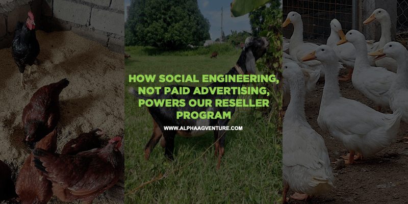How Social Engineering, Not Paid Advertising, Powers Our Reseller Program