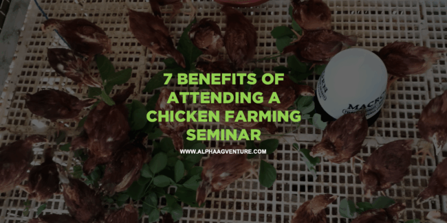 7 Benefits of Attending a Chicken Farming Seminar