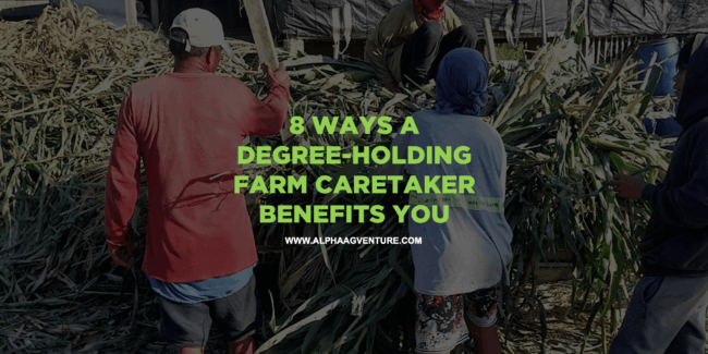 8 Ways a Degree-Holding Farm Caretaker Benefits You