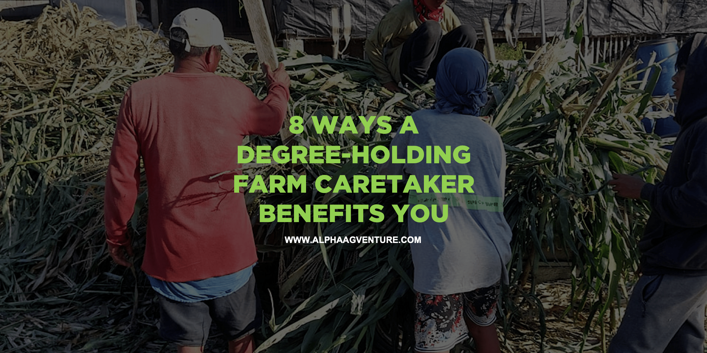 8 Ways a Degree-Holding Farm Caretaker Benefits You