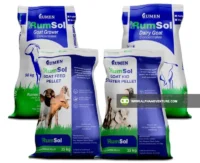 Buy Rumsol Goat Feeds for Sale at Alpha Agventure Farms