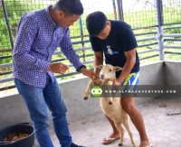 Veterinary Services