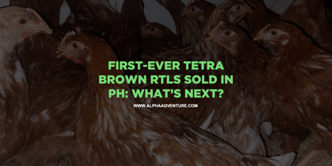 First-Ever Tetra Brown RTLs Sold in PH: What’s Next?