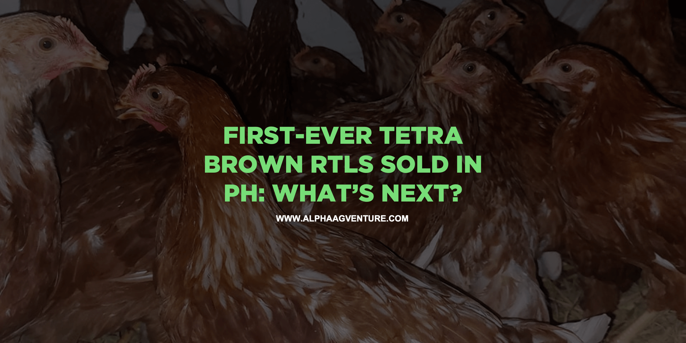 First-Ever Tetra Brown RTLs Sold in PH: What’s Next?