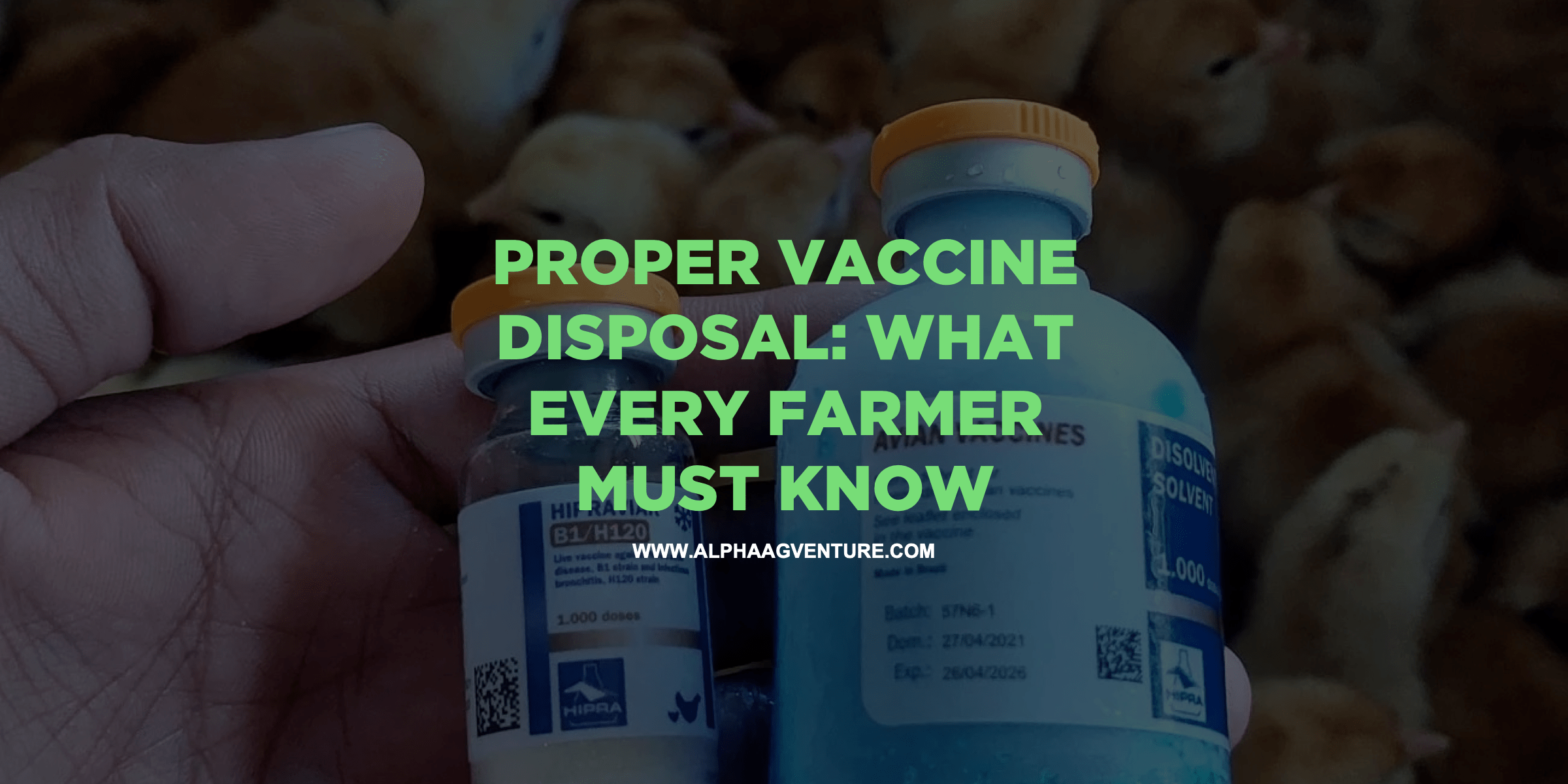 Proper Vaccine Disposal: What Every Farmer Must Know