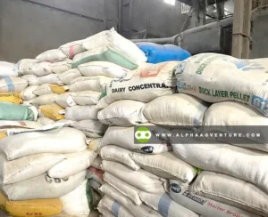 Rice Bran (Darak) for Sale