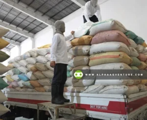 Rice Bran (Darak) for Sale