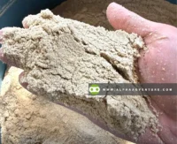 Buy Rice Bran (Darak) for Sale at Alpha Agventure Farms