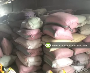 Rice Bran (Darak) for Sale