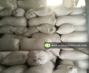 Rice Bran (Darak) for Sale