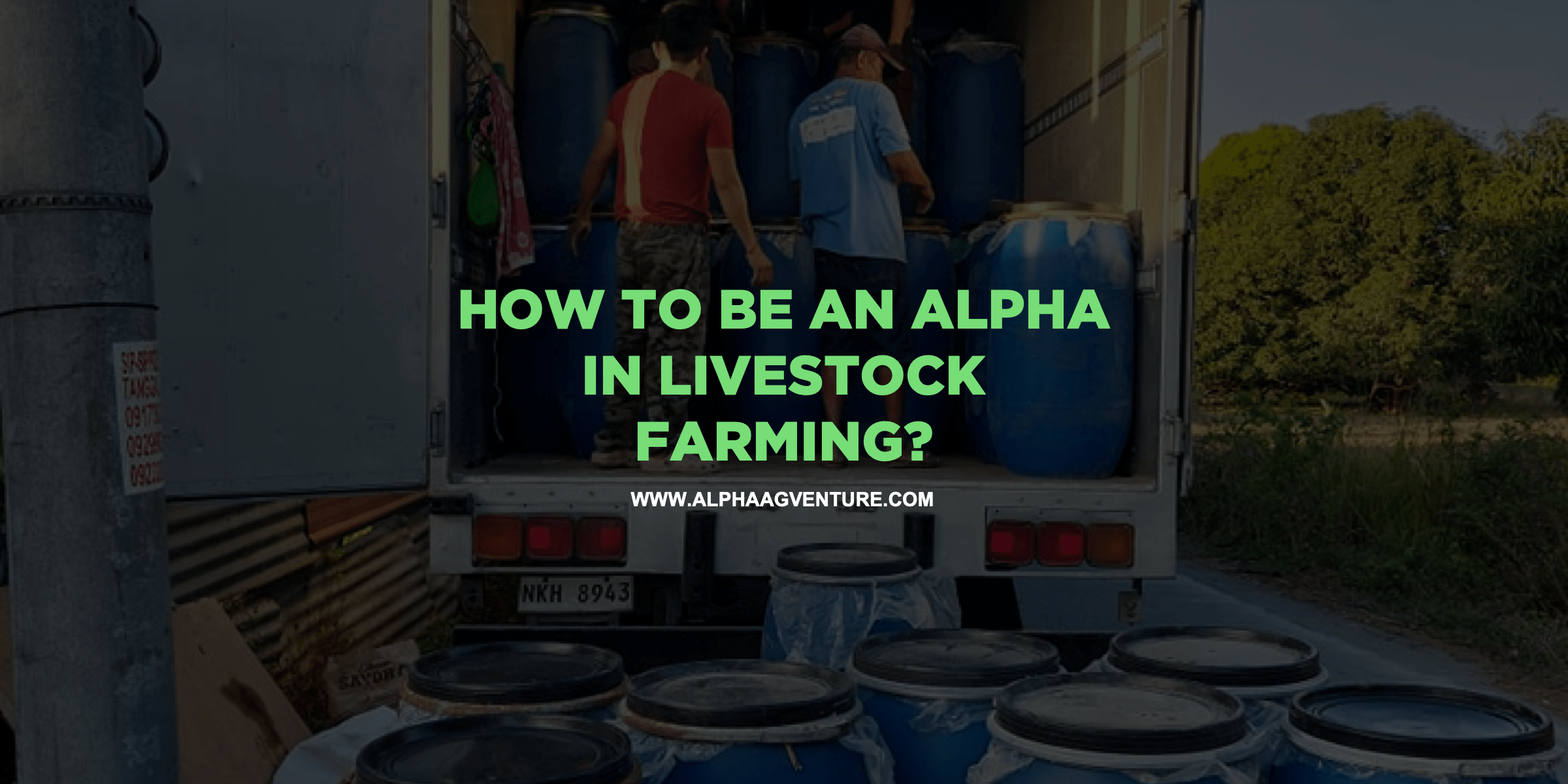 How to Be an ALPHA in Livestock Farming?