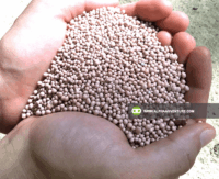 Buy Complete Fertilizer (14-14-14) for Sale from Alpha Agventure Farms