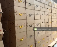 Buy Double Carton Derby Box for Sale at Alpha Agventure Farms