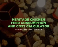 Heritage Chicken Feed Consumption and Cost Calculator by Alpha Agventure Farms