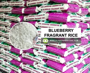 Rice for Sale | Wholesale Rice Distributor in the Philippines