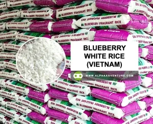 Rice for Sale | Wholesale Rice Distributor in the Philippines