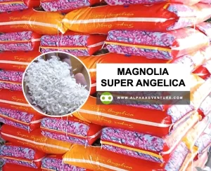 Rice for Sale | Wholesale Rice Distributor in the Philippines