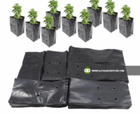 Buy Seedling Bags for Sale at Alpha Agventure Farms