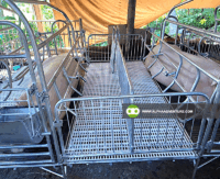 Double Farrowing Pen for Sale at Alpha Agventure Farms