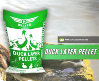 Hoover Duck Layer Pellets for Sale at Alpha Agventure Farms
