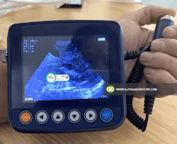 WristScan V9 Veterinary Ultrasound for Sale at Alpha Agventure Farms