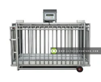 Buy Digital Hog Weighing Scale at Alpha Agventure Farms