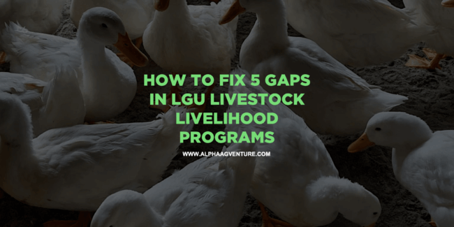 How to Fix 5 Gaps in LGU Livestock Livelihood Programs