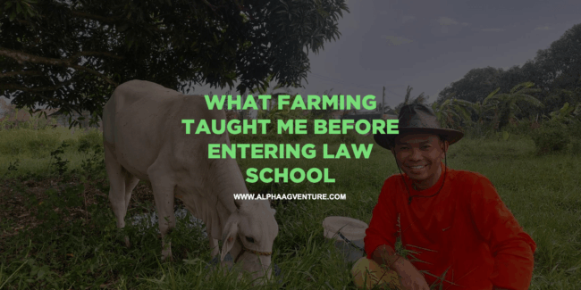 What Farming Taught Me Before Entering Law School