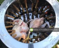 Buy Chicken Plucker for Sale at Alpha Agventure Farms