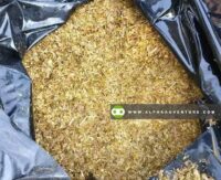 Sorghum Silage for Sale at Alpha Agventure Farms
