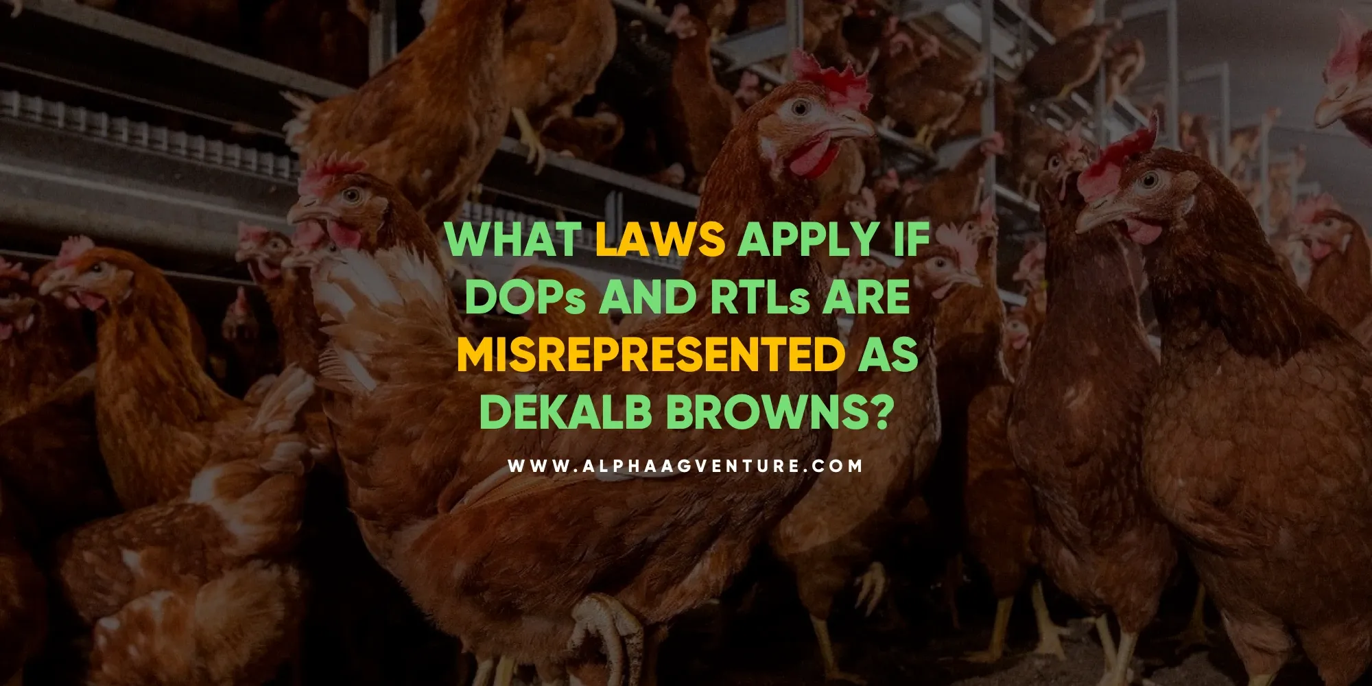 What Laws Apply If DOPs and RTLs Are Misrepresented as Dekalb Browns?