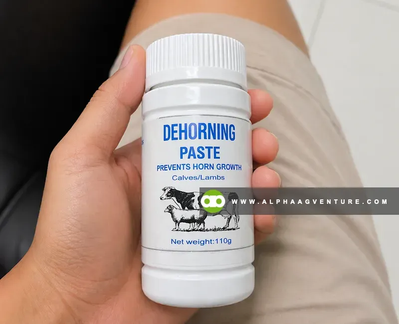 Buy Dehorning Paste for Sale at Alpha Agventure Farms