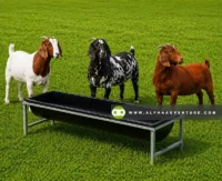 Buy Trough for Sale at Alpha Agventure Farms