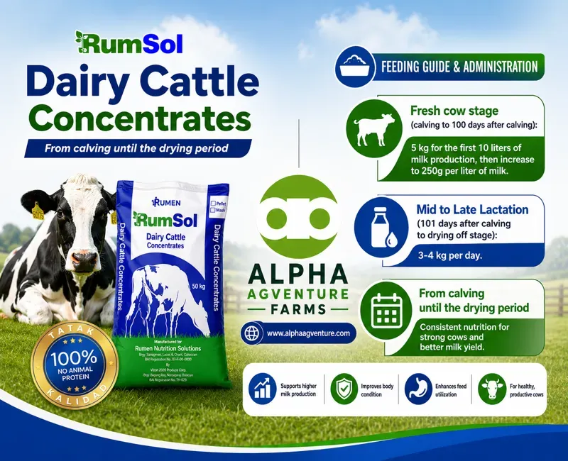 Buy Rumsol Dairy Cattle Concentrates for Sale at Alpha Agventure Farms